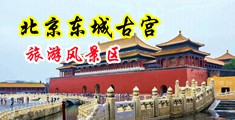 夫妻生活黄色视频网站中国北京-东城古宫旅游风景区